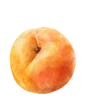 桃子